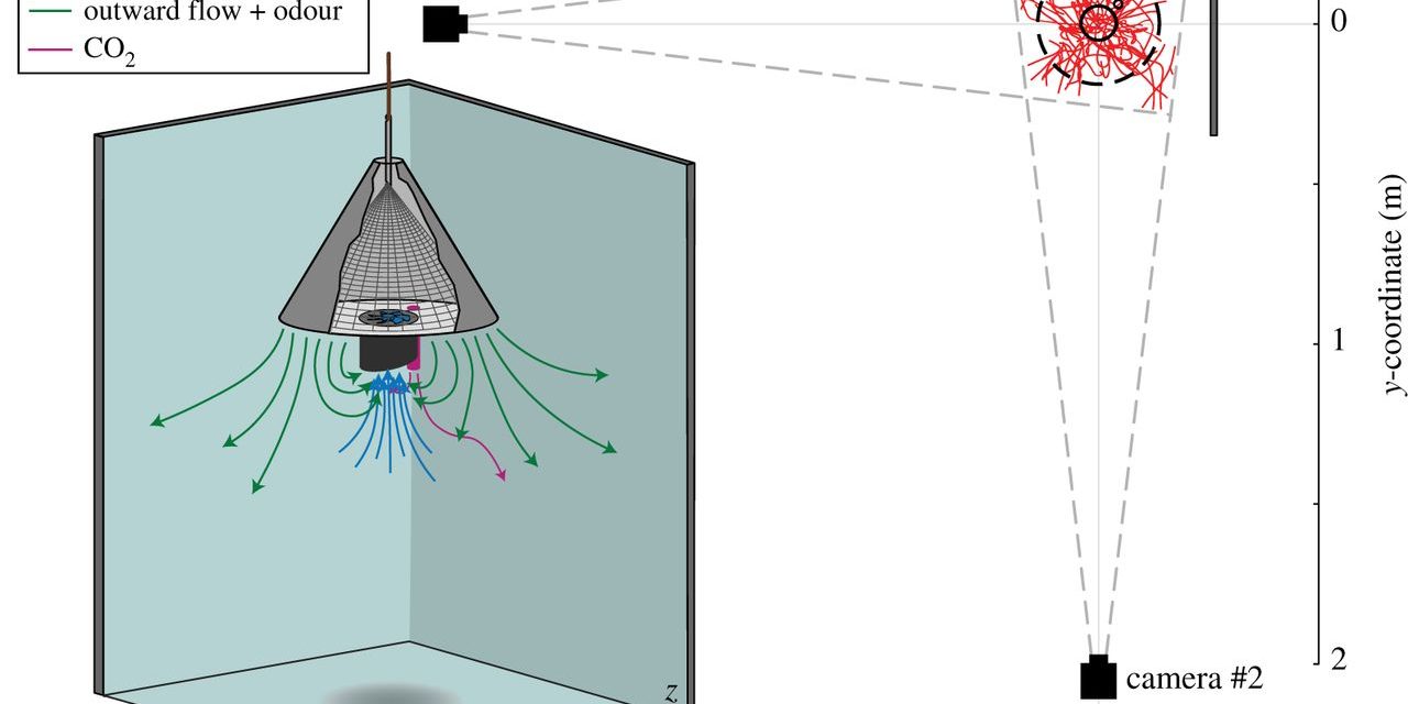 Flight behaviour of malaria mosquitoes, two synchronized AOS PROMON 501 NIR Cameras